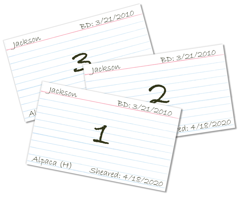 Index cards for labeling fleece grades.