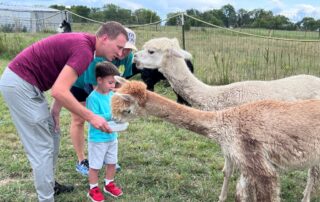 Fitzgerald Acres Alpaca Ranch, Collinsville, OK