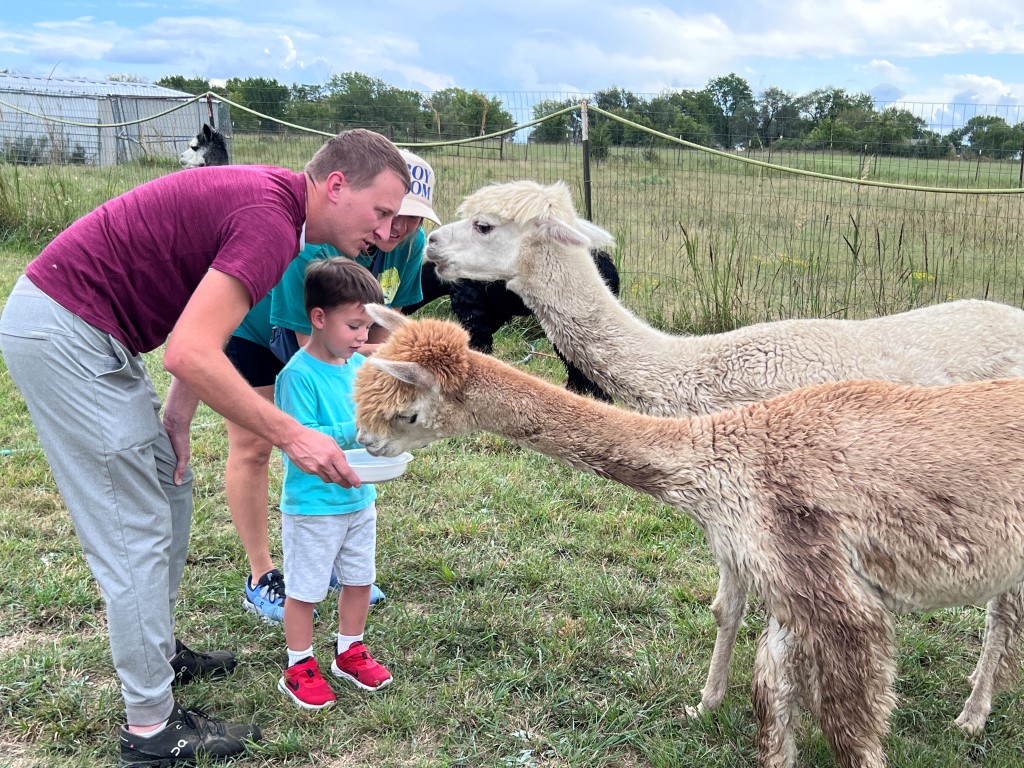 Fitzgerald Acres Alpaca Ranch, Collinsville, OK